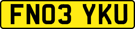 FN03YKU