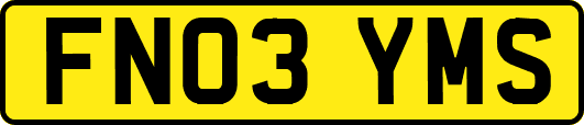 FN03YMS