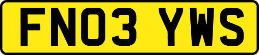FN03YWS