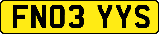 FN03YYS
