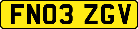 FN03ZGV