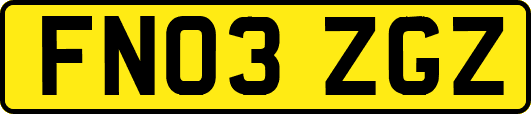 FN03ZGZ