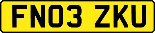 FN03ZKU