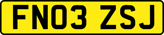 FN03ZSJ