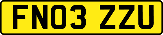 FN03ZZU