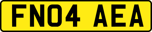 FN04AEA