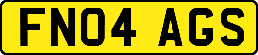 FN04AGS