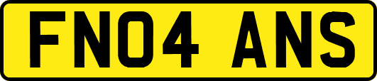 FN04ANS