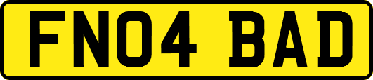 FN04BAD