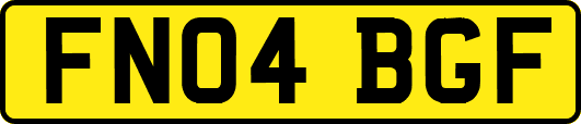 FN04BGF