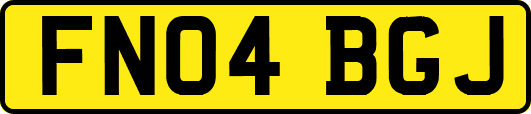 FN04BGJ