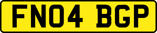 FN04BGP
