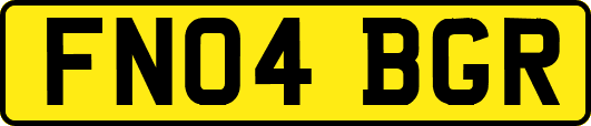 FN04BGR