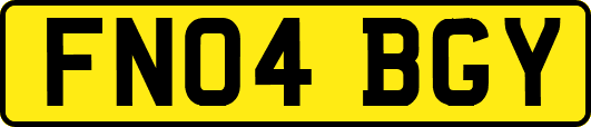 FN04BGY