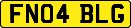 FN04BLG