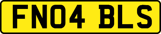 FN04BLS