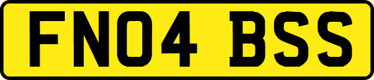 FN04BSS
