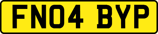 FN04BYP