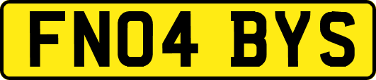FN04BYS