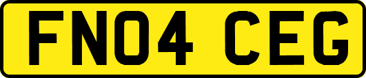 FN04CEG