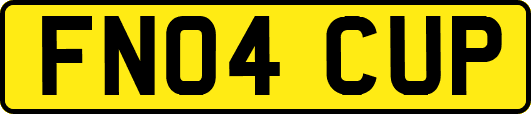 FN04CUP