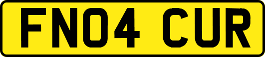 FN04CUR