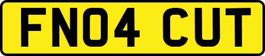 FN04CUT