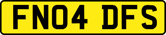 FN04DFS