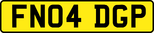FN04DGP