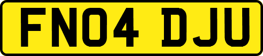 FN04DJU