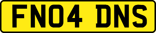 FN04DNS