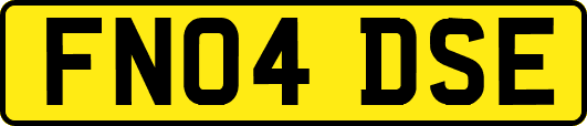 FN04DSE