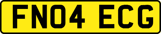 FN04ECG
