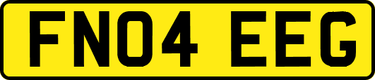 FN04EEG