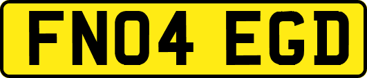 FN04EGD