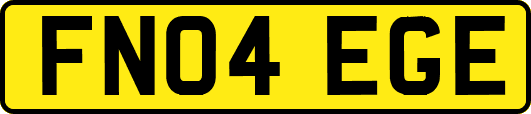 FN04EGE