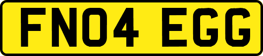FN04EGG