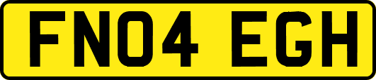 FN04EGH