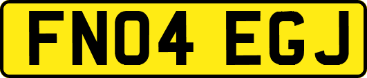 FN04EGJ