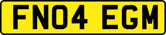 FN04EGM