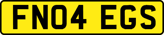 FN04EGS