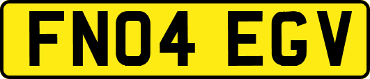 FN04EGV