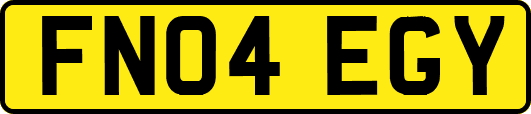 FN04EGY