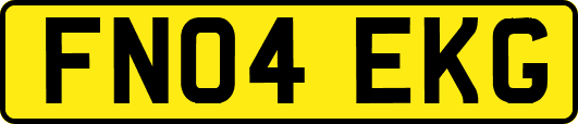 FN04EKG