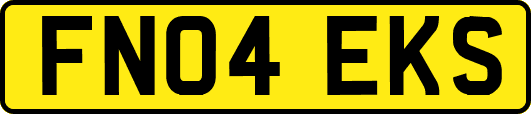 FN04EKS