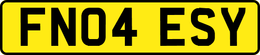 FN04ESY