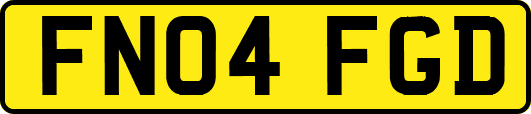 FN04FGD
