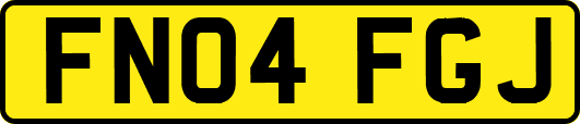 FN04FGJ