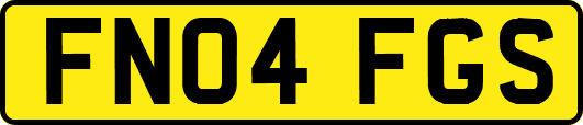 FN04FGS