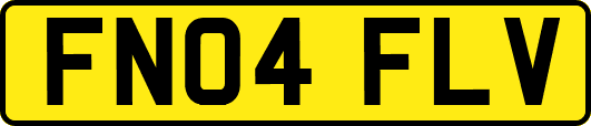 FN04FLV